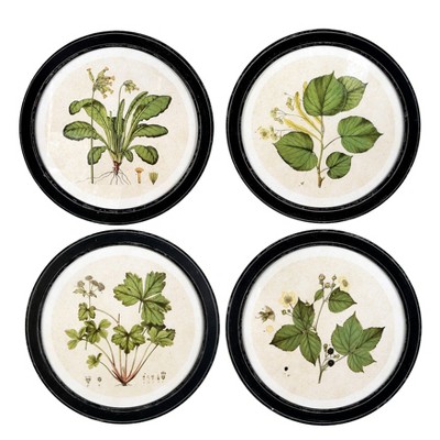 (Set of 4) 13.75" Wood Framed Wall Art Sets with Vintage Reproduction Botanical Print - 3R Studios