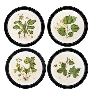 (Set of 4) 13.75" Wood Framed Wall Art Sets with Vintage Reproduction Botanical Print - Storied Home: Elegant Home Decor - 1 of 4
