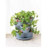 Stacking Self-Watering Strawberry Pot | Self-Watering Planter Each Tier Holds 3 Strawberry Plants 9 Total | Indoor Outdoor Holds 12 Quarts Potting
