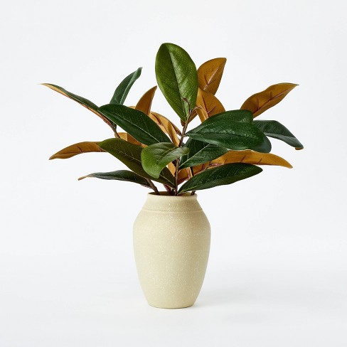 Small Magnolia Leaf Potted - Threshold™ designed with Studio McGee - image 1 of 4