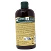 The Body Shop Anti-Dandruff Ginger Shampoo 13.5 Ounces - 2 of 2