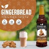 Syruvia Gingerbread Syrup - 25.4 fl oz. Premium Flavoring Syrup For Coffee - 2 of 4