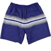 NFL Mens New York Giants Striped Swim Bottom Trunks - 2 of 2