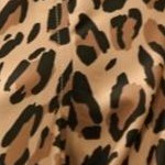 natural bold leopard