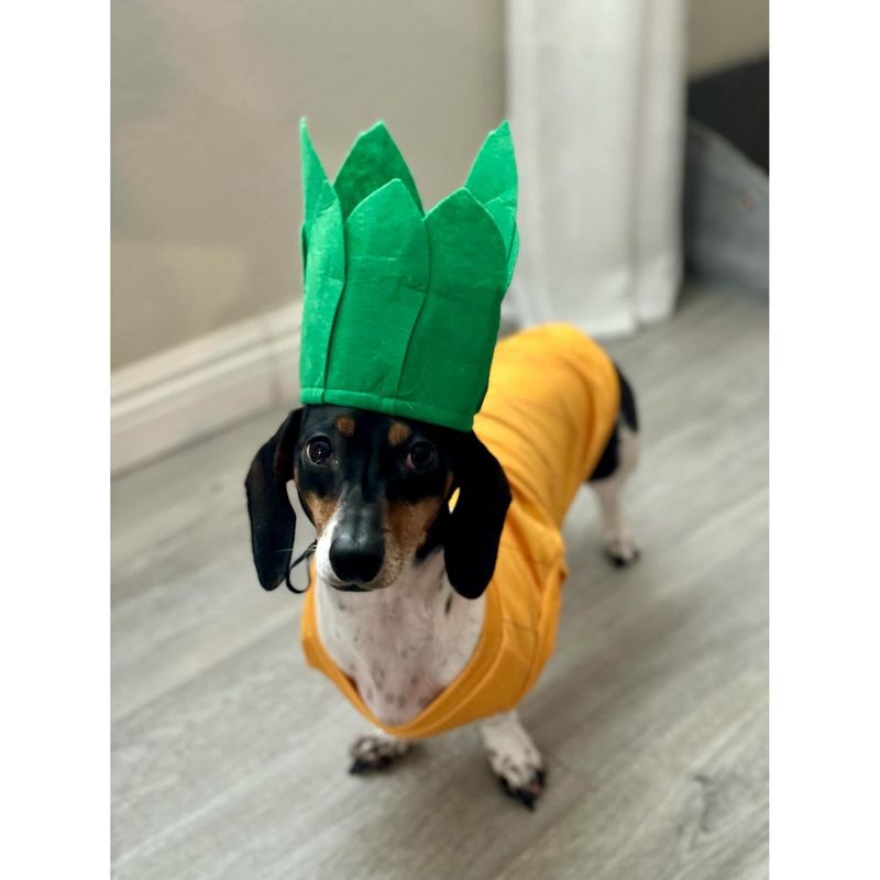 Midlee Pineapple Dog Costume, 5 of 10