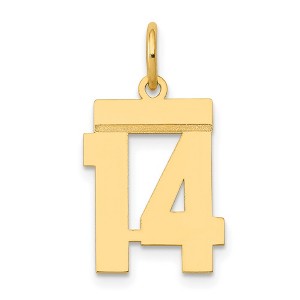 Black Bow Jewelry 14k Yellow Gold, Athletic Collection, Small Polished Number 14 Pendant - 1 of 4