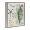 Stupell Industries Sea Shell Inspirational Collage, 17" x 17" - 3 of 4