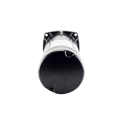 Black Stainless Steel 1.5HP Single-Speed Pool Motor Replacement