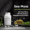 Amen Sea Moss, Bladderwrack, Burdock, Vitamin C, Aloe Vera, Black Pepper, Seaweed Superfood, 90 ct - 4 of 4