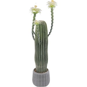Artificial Cactus Potted Plant Faux Desert Cacti Fake Big Cactus Plant with Planter Realistic Faux for Home Garden Office Indoor Outdoor Decoration - 1 of 4