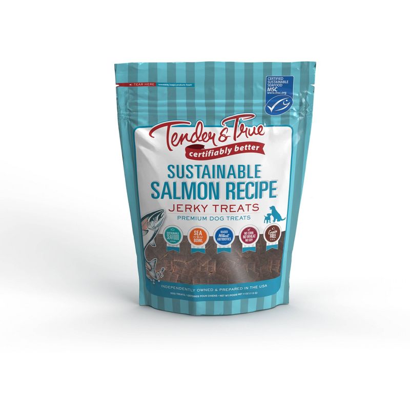 Tender &#38; True Sustainable Salmon Recipe Jerky Dog Treats - 4oz, 1 of 4