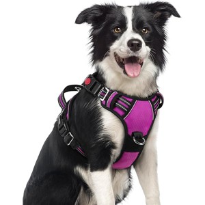 rabbitgoo Dog Harness Medium Sized, No Pull Dog Vest  Harness with Easy Control Handle and Reflective Strips, Purple, M - 1 of 1