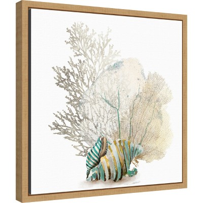Coral and Conch Shell Canvas Print with Wood Frame