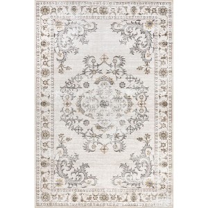 Nuloom Arwen Vintage Traditional Pet Friendly Machine Washable Area Rug - 1 of 4
