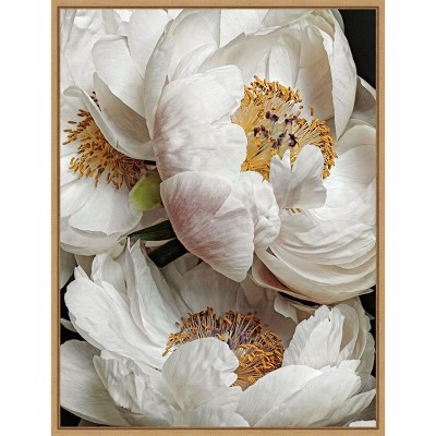 Amanti Art Ivory Flowers by Urban Road Canvas Wall Art Print Framed 18 x 24-in.