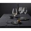 Riedel 16 fl oz Superleggero Champagne Wine Glass - 2 of 4