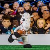 Bleacher Creatures Florida State Seminoles Cimarron 10" Mascot Plush Figure - 2 of 4