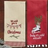 Park Designs Wish You A Merry Dishtowel Set of 2 - 2 of 3