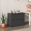 Lateral File Cabinet 2 Drawer with Lock, Lockable Metal Filing Cabinet for Home Office, File Storage Organizer for Letter/Legal/A4 Files–The Pop Home - 2 of 4
