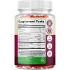ACV Apple Cider Vinegar Gummies, Natural Energy Supplement ACV + Mother for Body Cleanse Immune Support & Gut Health, Nature's Craft, 120ct - 2 of 4