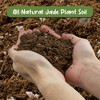 Soil Sunrise 8qt Jade Plant Potting Soil Mix, Amendment for Jade Succulents - 4 of 4
