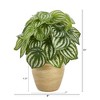 Nearly Natural 11-in Watermelon Peperomia Artificial Plant in Ceramic Planter (Real Touch) - 2 of 3