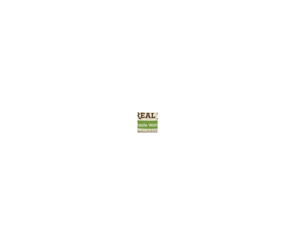 Quaker Real Medleys Apple Walnut Oatmeal Cup - 2.64oz