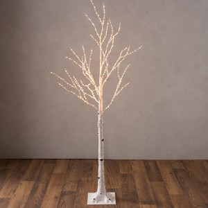 Medium Indoor/Outdoor Birch Tree with 400 Warm White Lights - 5'H White - 1 of 4