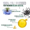 Black Seed Oil Softgels 1000mg, Premium Nigella Sativa Blackseed, Pure Natural Black Cumin Seed Oil, Antioxidant - 120 Softgels By Nature's Nutrition - 3 of 4