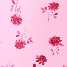 Pink Rose Print