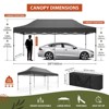 Heavy Duty Canopy Tent 10 x 20FT Outdoor Tent for Backyard Party - 2 of 4