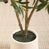 Kazeila 5-7FT Artificial Olive Tree with Round White Planter, Pre Potted Fake Plant for Home Decor - 4 of 4