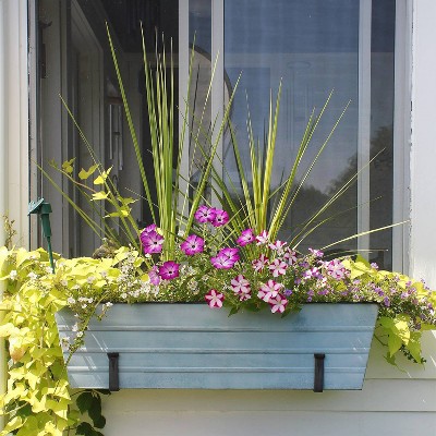 Large Blue Galvanized Steel Flower Box with Wall Brackets