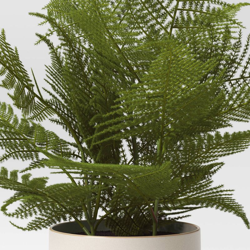 Large Artificial Asparagus Fern Light - Threshold&#8482;, 4 of 6