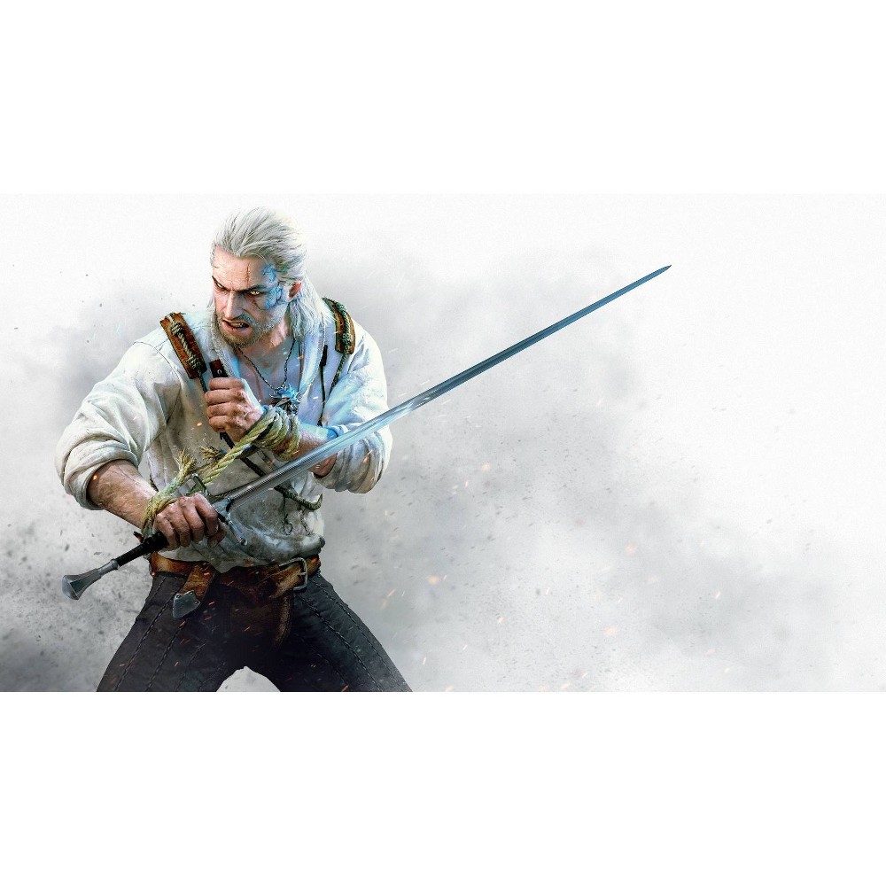 Photos - Game Nintendo The Witcher 3: Wild Hunt Hearts of Stone -  Switch  (Digital)