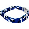 Country Brook Petz Premium Dog Collar - Sports and Athletics Collection - 3 of 4