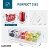 Aoibox Chilled Condiment Tray with 5 Removable Containers, Ice Chilled Organizer, Clear Serving Platter for Fruit, Salad, Food, Bar Accessories - 3 of 4