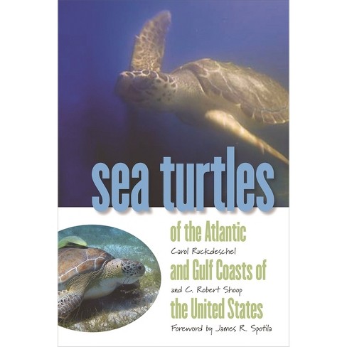 Sea Turtles Of The Atlantic And Gulf Coasts Of The United States ...