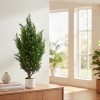 Set of 2 Realistic Artificial Cedar Topiary Trees,3FT UV Resistant Faux Spiral Pine Shrubs in Cement Planters for Porch, Entryway & Office Decor - 3 of 4