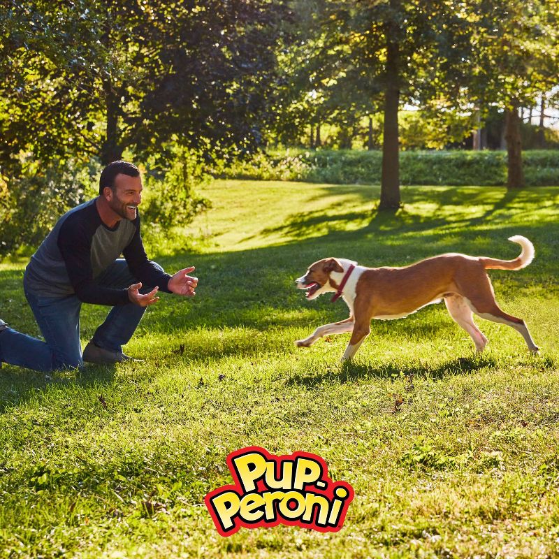 Pup-Peroni Treats Peroni Beef Flavor Chewy Dog Treats, 5 of 6