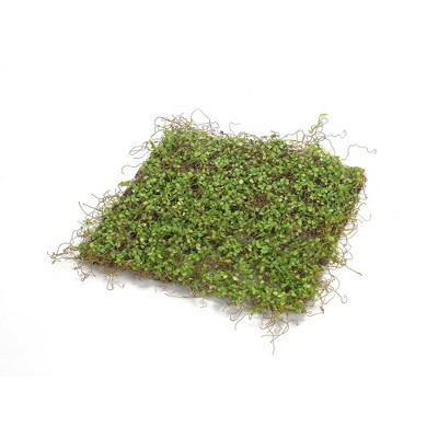 Melrose Lifelike Moss Display Mat (Set of 12)