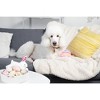 Midlee Easter Egg Plush Dog Toy - Pink - image 4 of 4