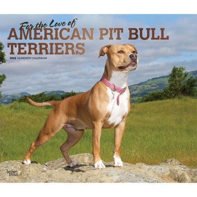 2022 Deluxe Calendar Pit Bull Terriers - BrownTrout Publishers Inc