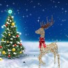 Champagne Woven Standing Reindeer Elegant Lighted Christmas Decoration - 3 of 4