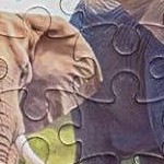 108pcs 29.5' jungle jigsaw & 12pcs safari animsls