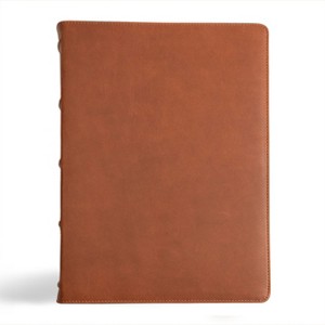 CSB Verse-By-Verse Reference Bible, Holman Handcrafted Collection, Marbled Tan Premium Calfskin - by  Csb Bibles by Holman (Leather Bound) - 1 of 1