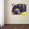 Dean Russo 'Savvy Labrador' Canvas Art - 3 of 3