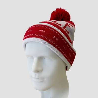 Mighty Fine 2 Pack Jingle Bells Hat - image 4