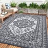 Outdoor Plastic Straw Rug Waterproof Patio Rug Reversible Medallion Carpet, Foldable Portable Camping Mat with Storage Bag, Carpet for Balcony - 2 of 4
