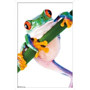 Trends International Tree Frog Framed Wall Poster Prints - 1 of 4